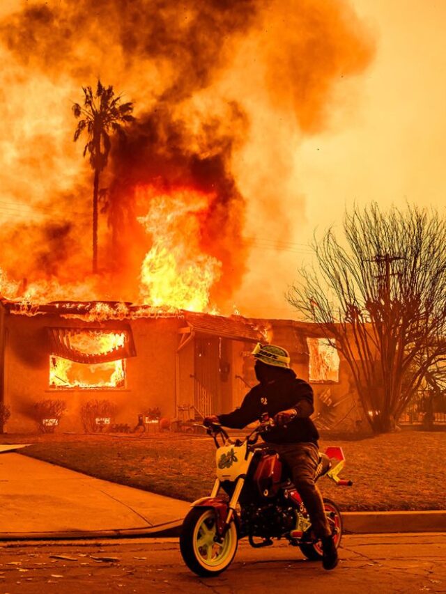 How much Destruction Has the California Fire Caused